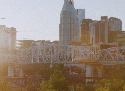 Nashville Scene Report