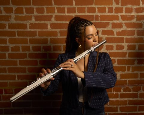 Getting Started with Aerophone Brisa: Your First Notes