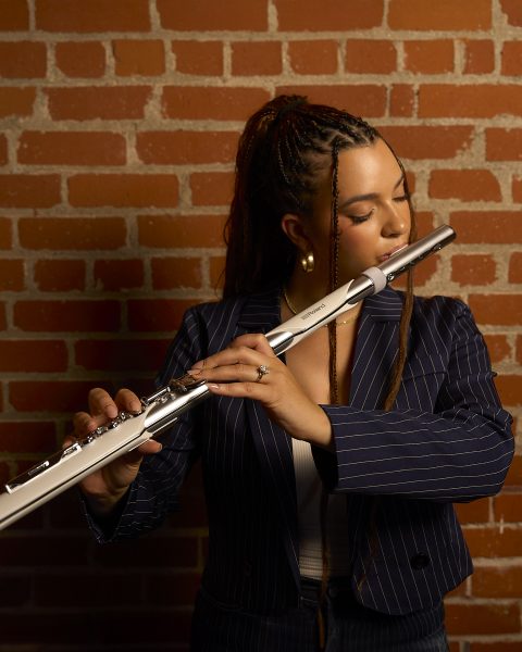 Getting Started with Aerophone Brisa: Your First Notes
