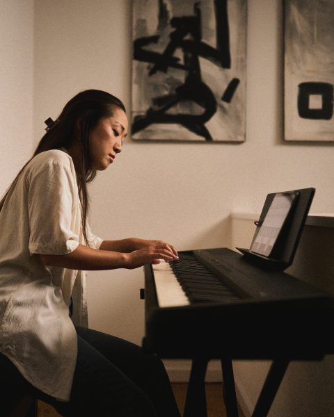 Getting Started with FP-40 and Piano Sphere